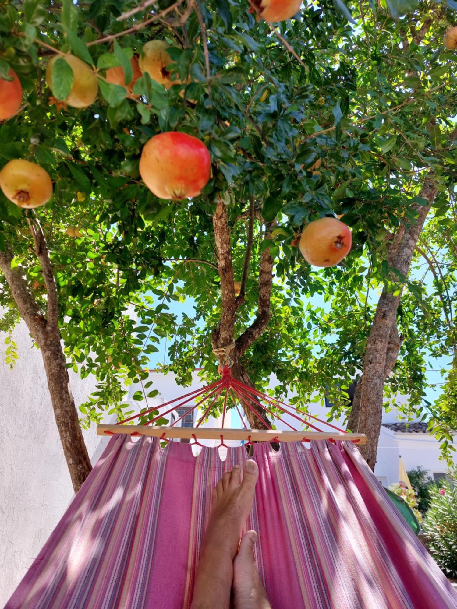 "Oliveiras" Appartement Typique Avec Terrasse Et Piscine Лоуле Екстериор снимка